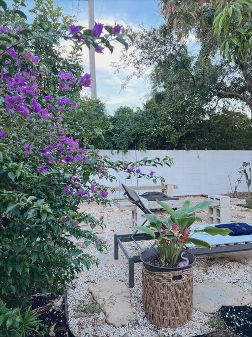 Beautiful Main House In West Palm Hébergement de vacances *